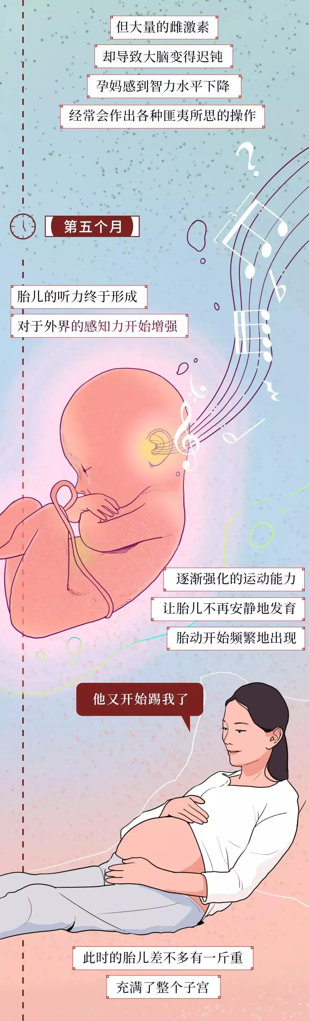 生命的诞生过程漫画图图片