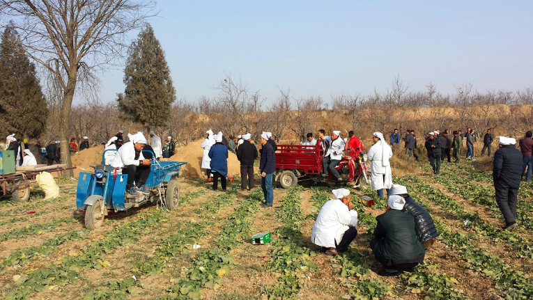 农村丧事习俗变味了?3大问题难以避免,让人苦不堪言