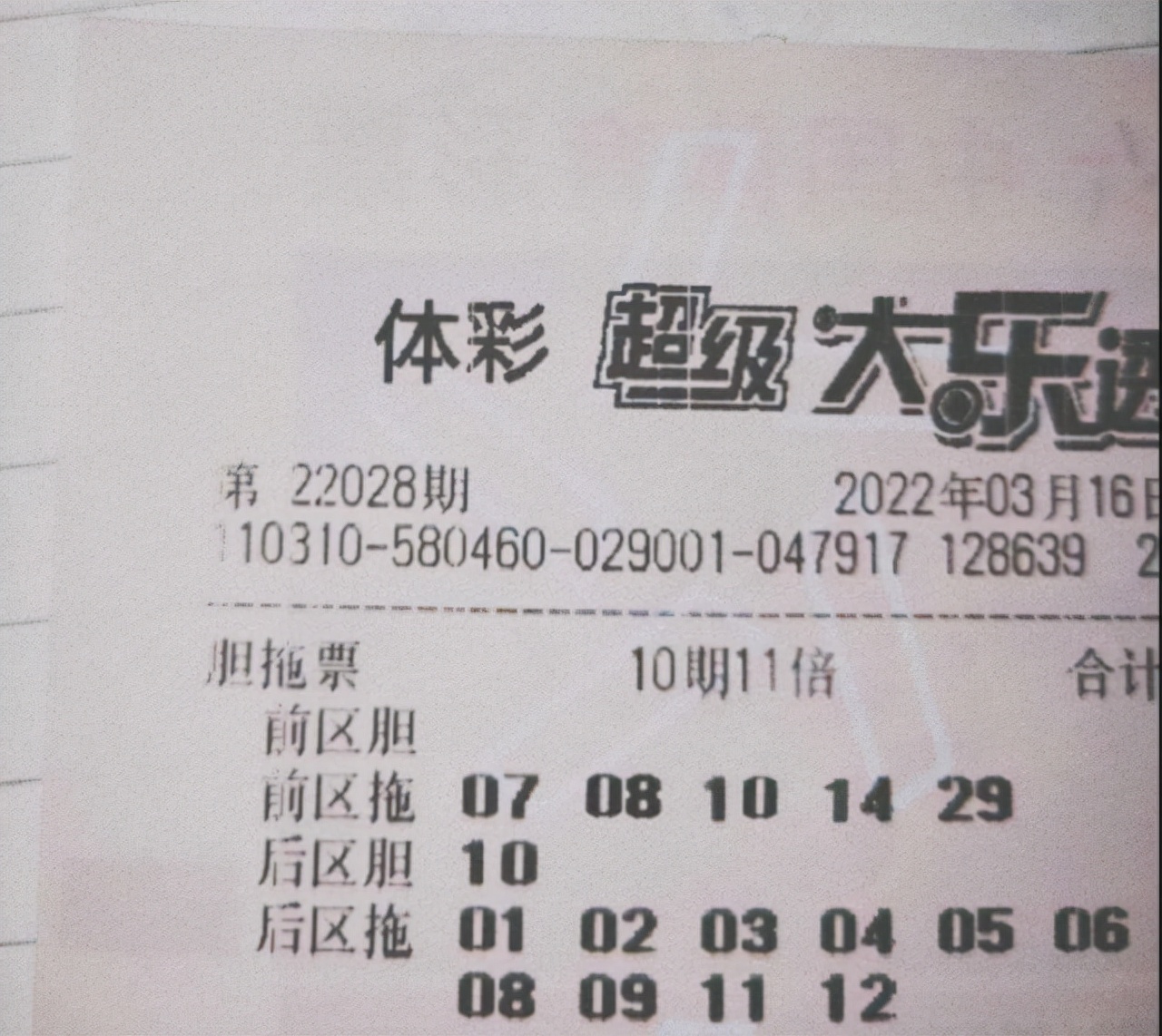 1亿,大乐透5 12胆拖投注,收获了6.6万