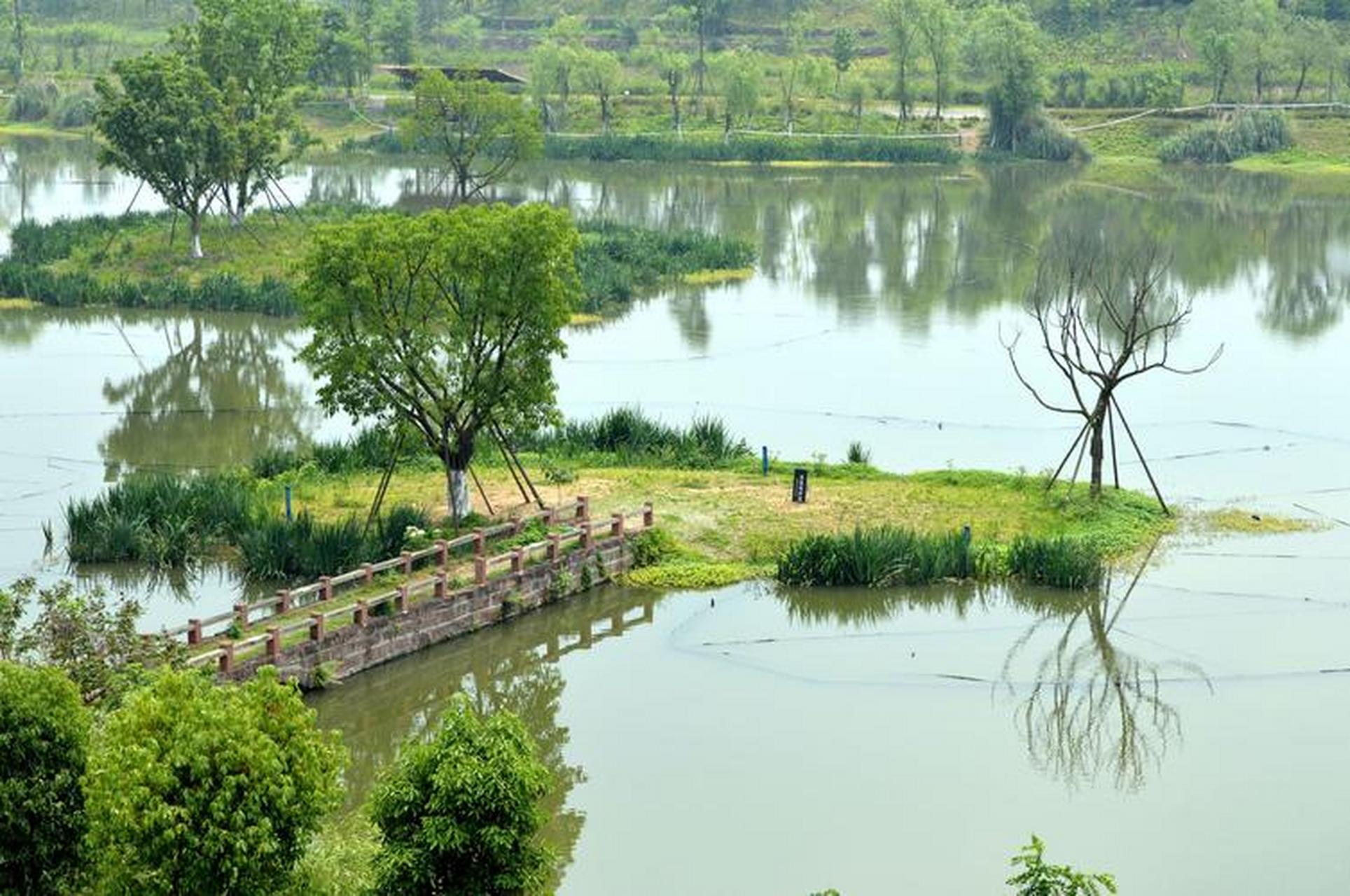 成都香草湖湿地公园图片