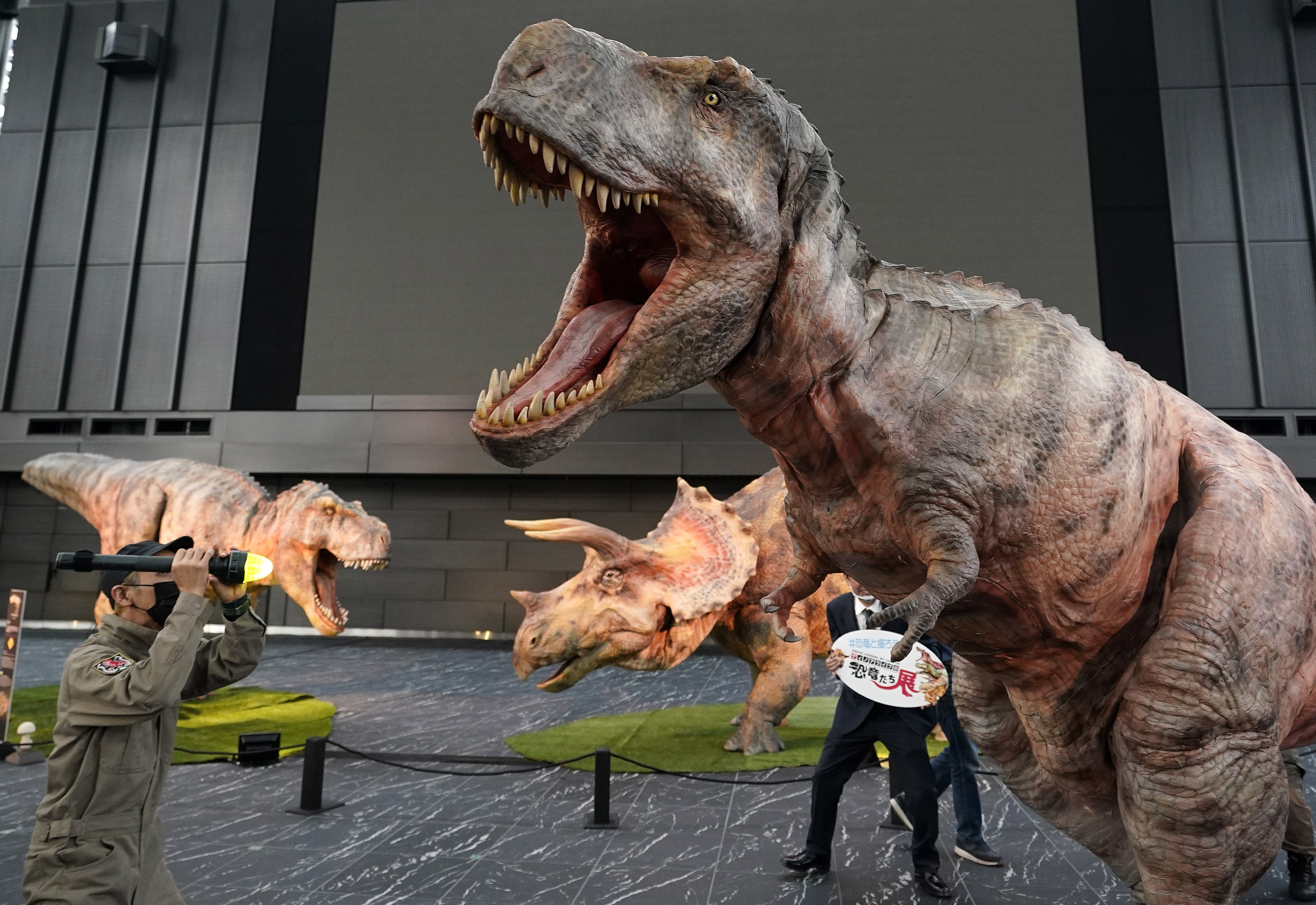 东京的恐龙艺术展