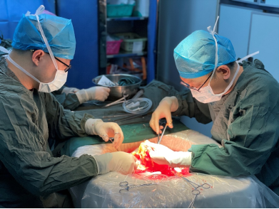 中国医大一院48小时内完成10台大器官移植手术