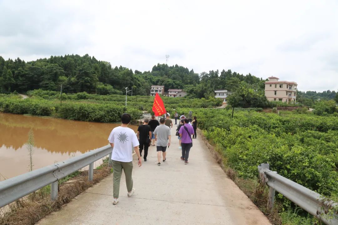 云峰乡平顶山村:扩大产业规模,带动贫困户增收