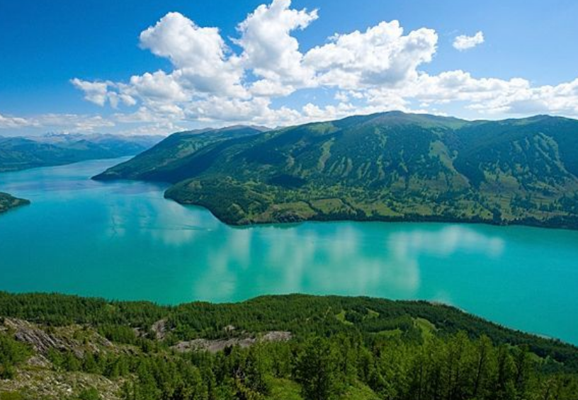 1980年新疆湖泊发现"水怪",牛羊被拖进水中,真凶是条大红鱼