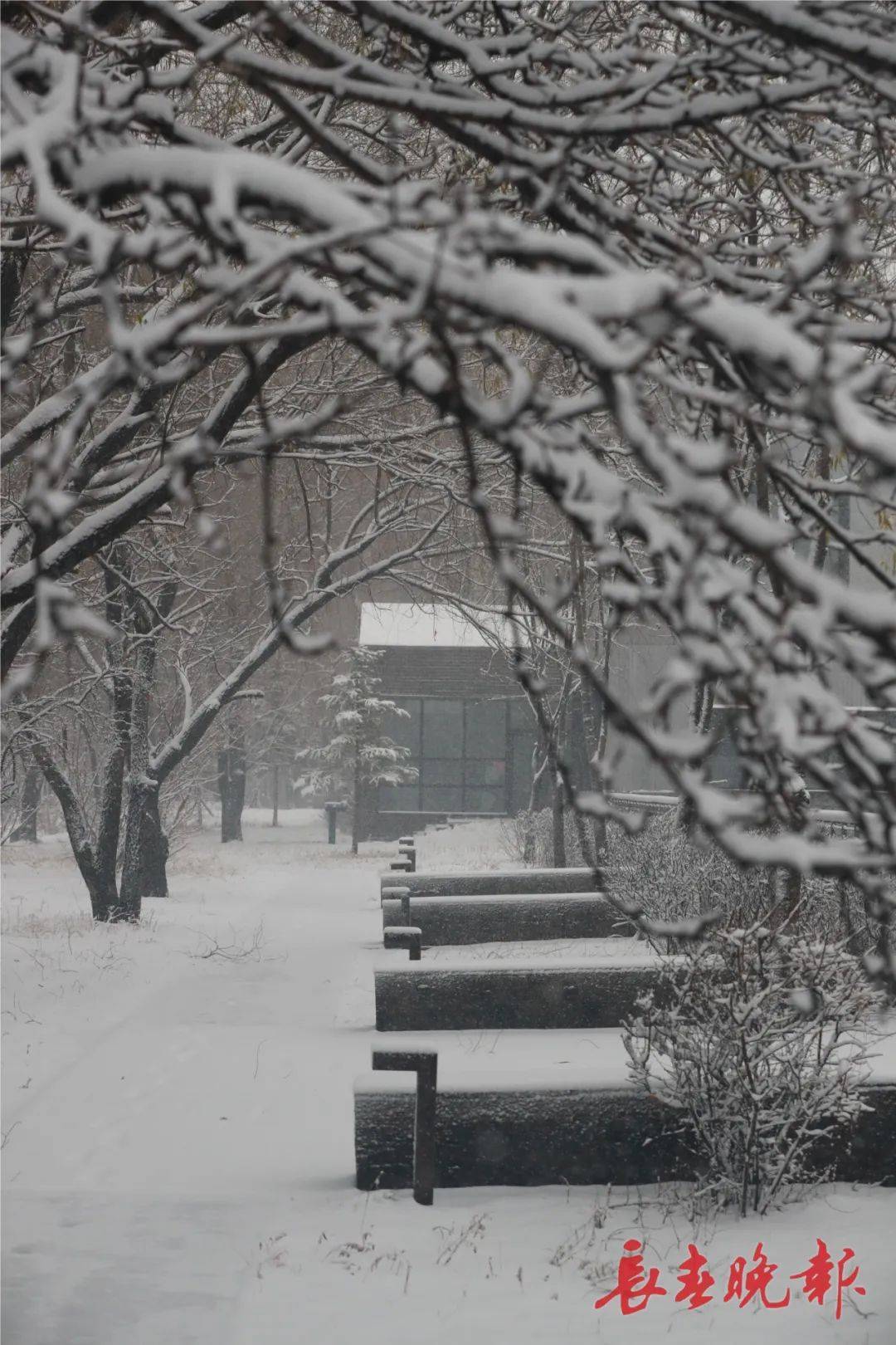 长春今天雪景图片图片