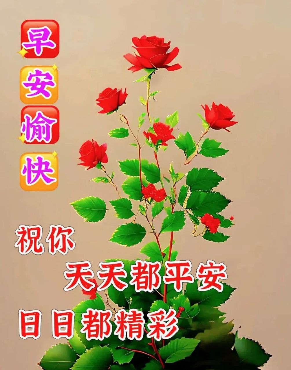 周四早上好,精选早安暖心祝福图片带字带祝福语,温馨早安问候语群发