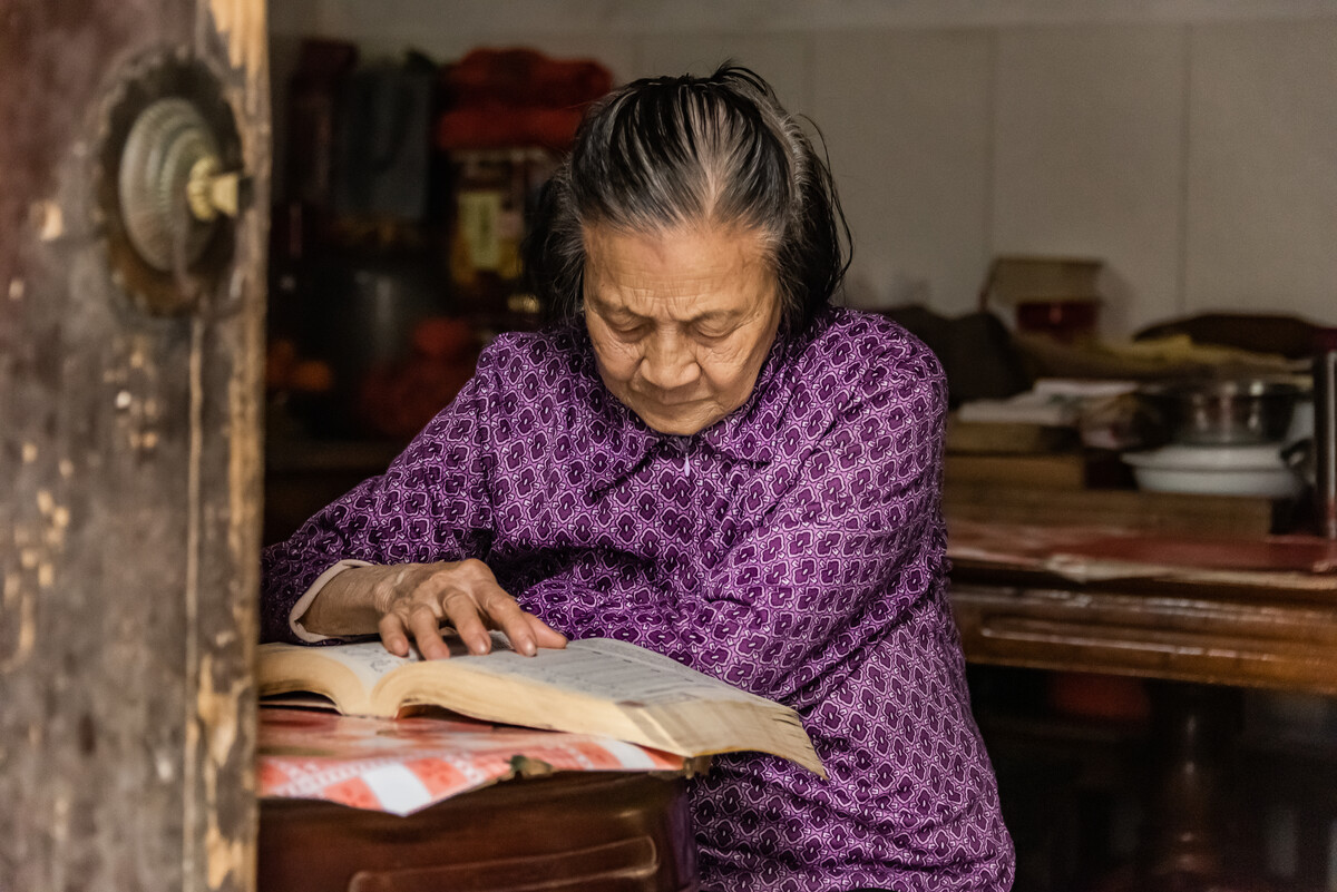 最近总是回想童年最初的地方,回想那个满是梨花的老房子,回想那个夏天