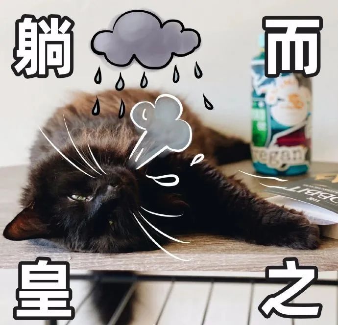 年轻人,拒绝"躺平"