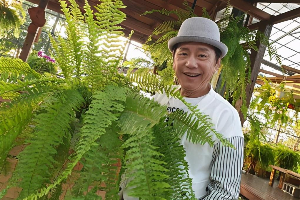黄西田负债5千万,妻子甘愿一起熬,挺孕肚接工作一起养家