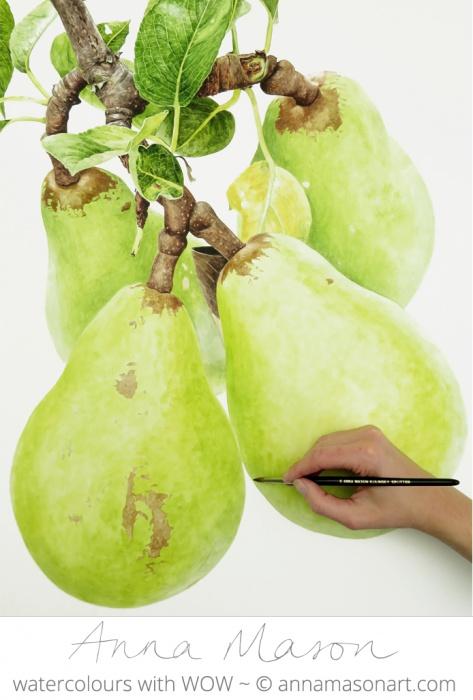 酷爱与天赋:来自英国水彩画家 anna knights 绘画作品