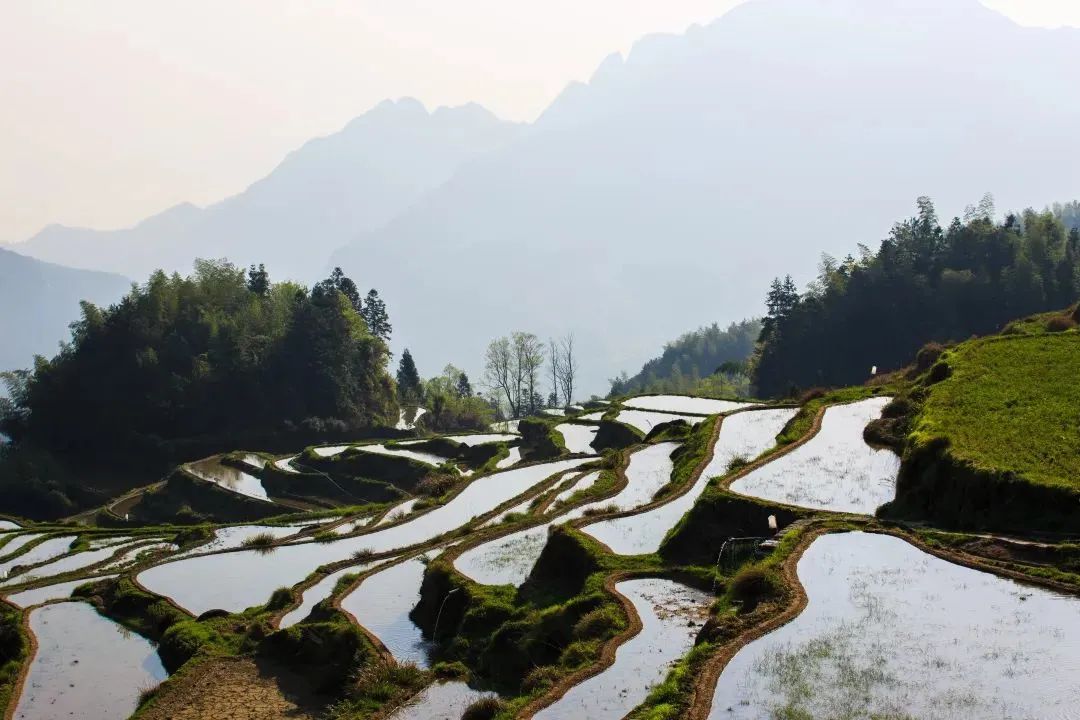 麗水雲和·稻草草遇見積木木,含雲和梯田景區門票 玩木兒童樂園