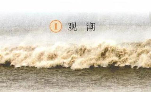 四年级语文《观潮》一课中,所有的知识点都在这里啦