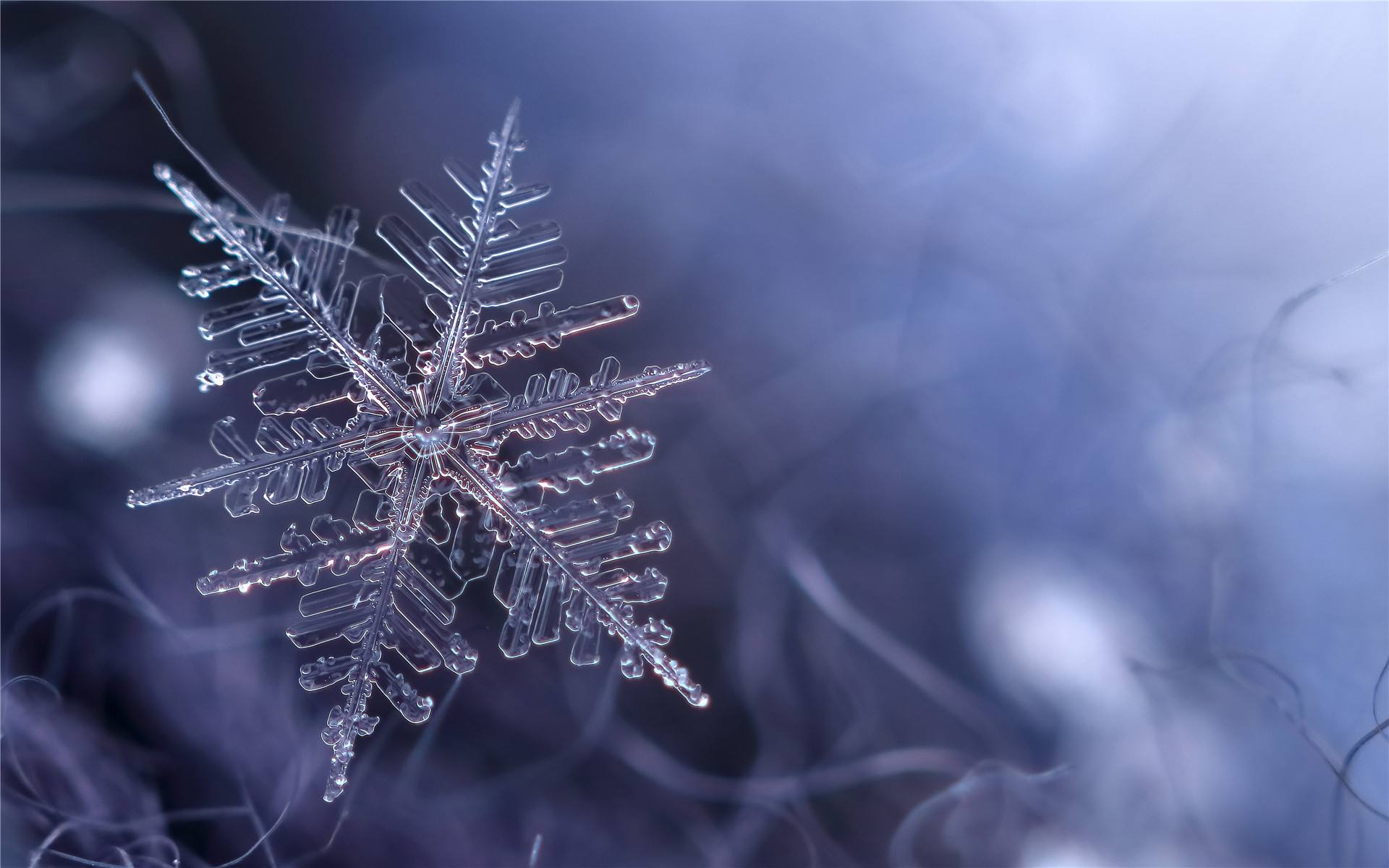 心理测试:选出你心中的雪花,测出你身边都是谁在深爱着你