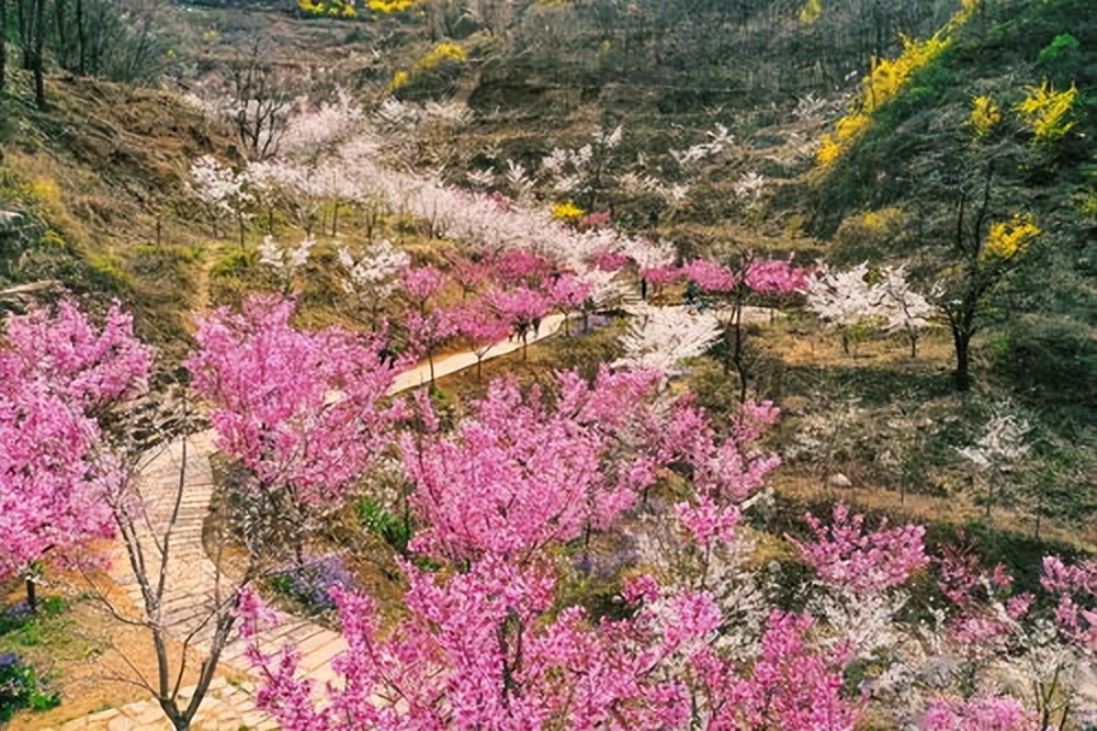 山東淄博齊山風景區,就像是一片世外桃源,宛如人間天堂!