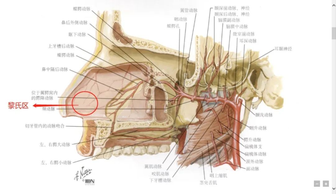 孩子为什么会流鼻血,该如何处理?