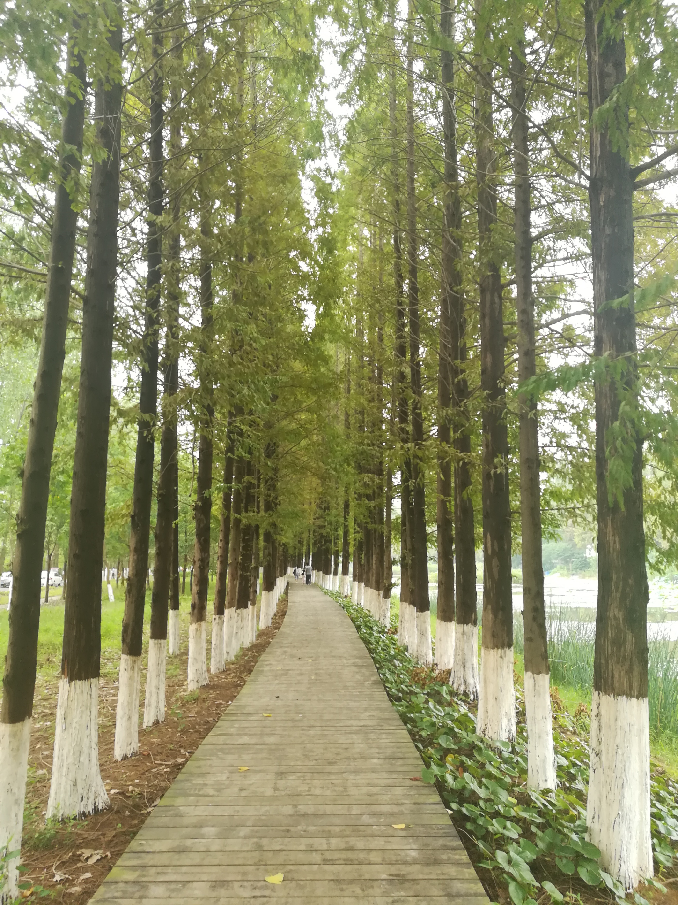 特色乡村小镇,合肥三十岗崔岗艺术村和王大郢音乐小镇