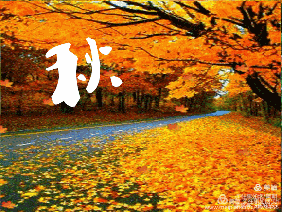 往事如烟*阿明|"秋"字诗