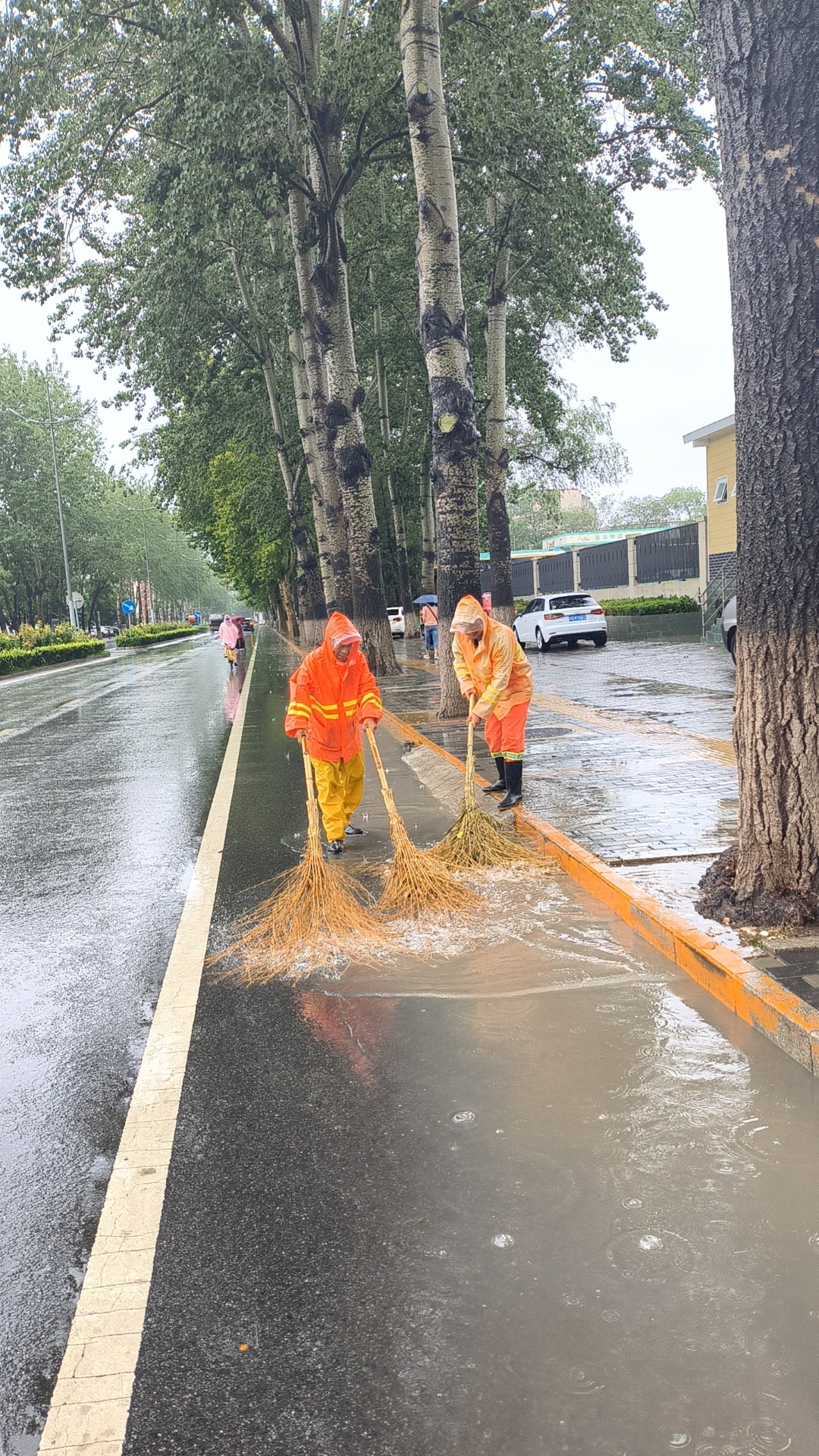 应对暴雨天气,昌平环卫工人雨中坚守