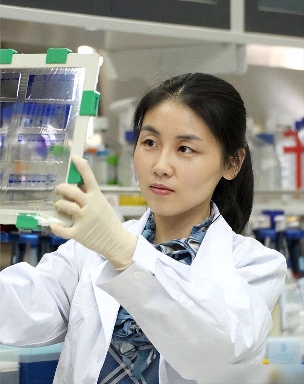 王延轶的"逆袭":从艺术生到生物学博士,师从80岁权威专家田波