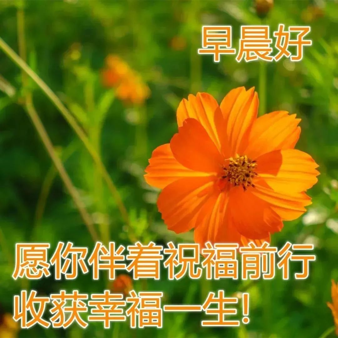 美好暖心的早安正能量问候句子,最美冬季问候早上好的图片带字