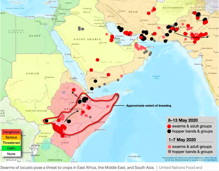 非洲蝗灾地图图片