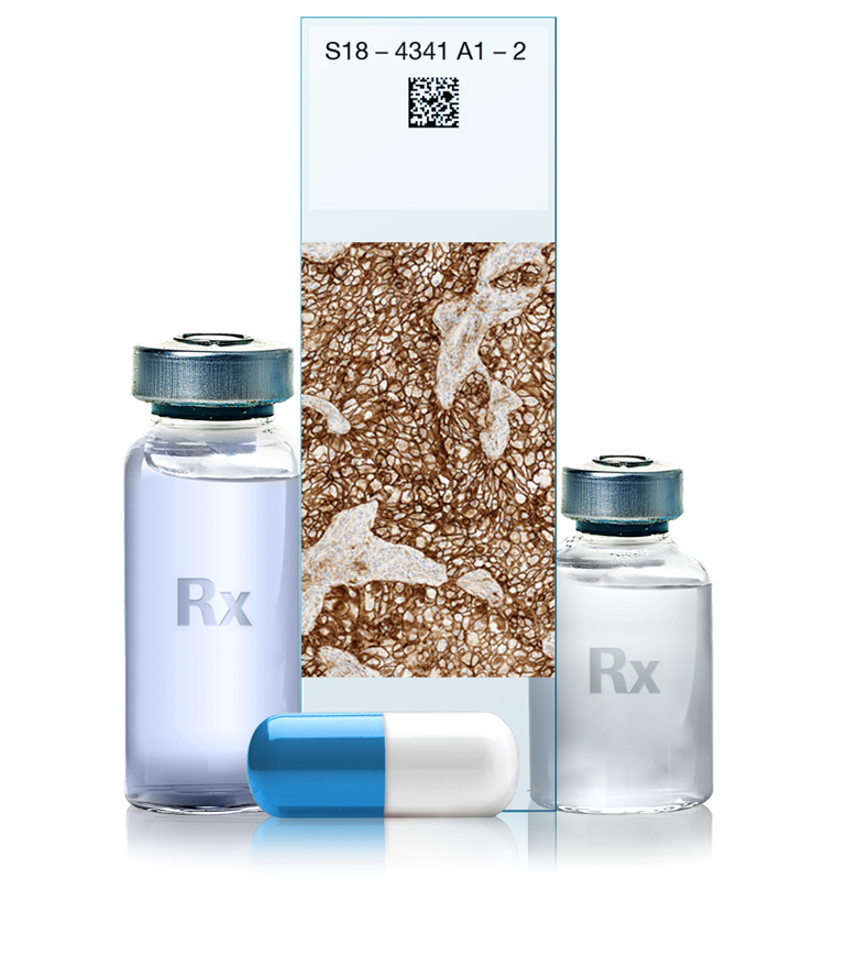 从尖端产品到多元合作,罗氏诊断亮相进博会赴"东方之约"