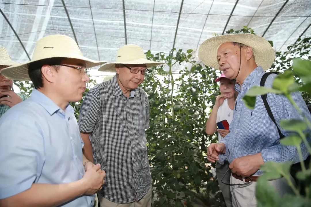 陈学新:虫鸣声里说丰年