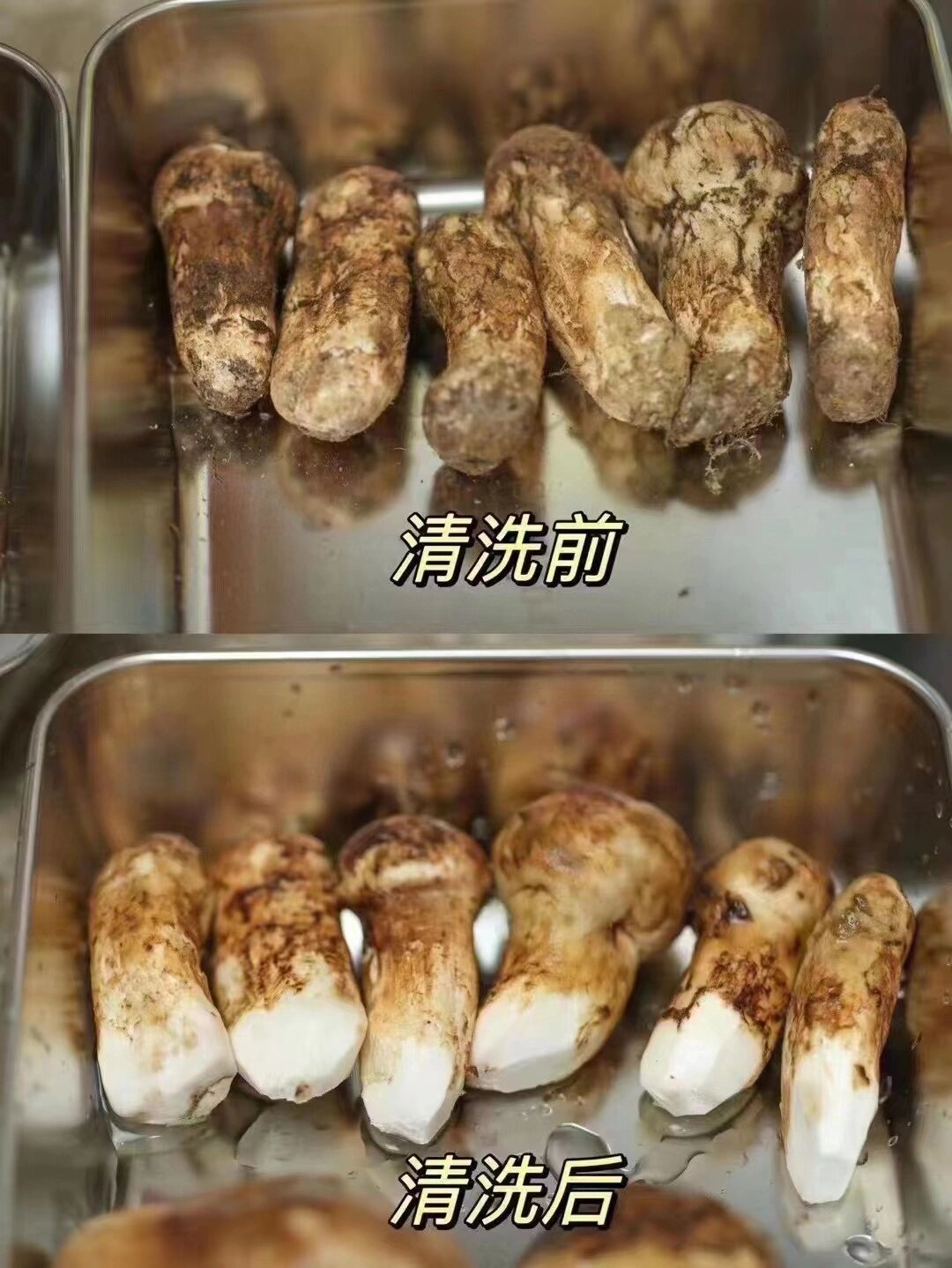 新鲜松茸的清洗及保存方法!干净营养不流失