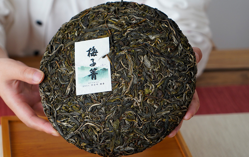 梅子箐古树普洱茶的口感究竟怎么样?为何这么受欢迎!
