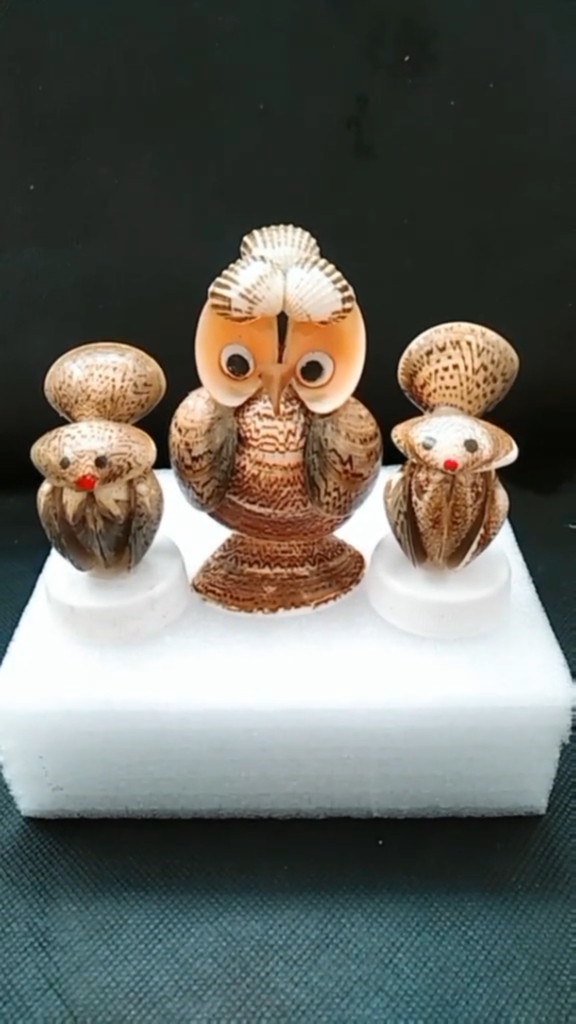 花蛤壳壳还能这么玩#手工制作