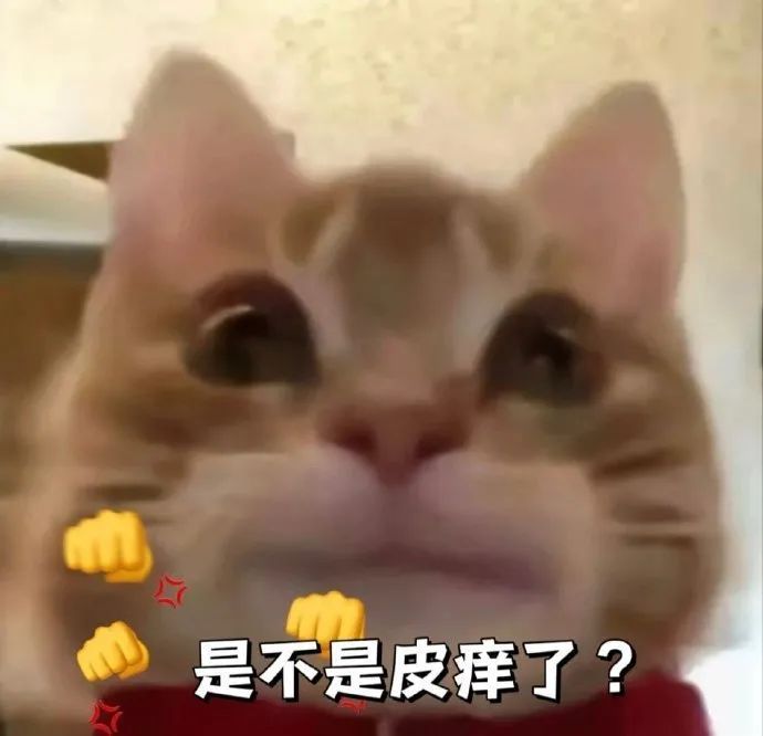 歪嘴可爱小猫表情包系列汇总