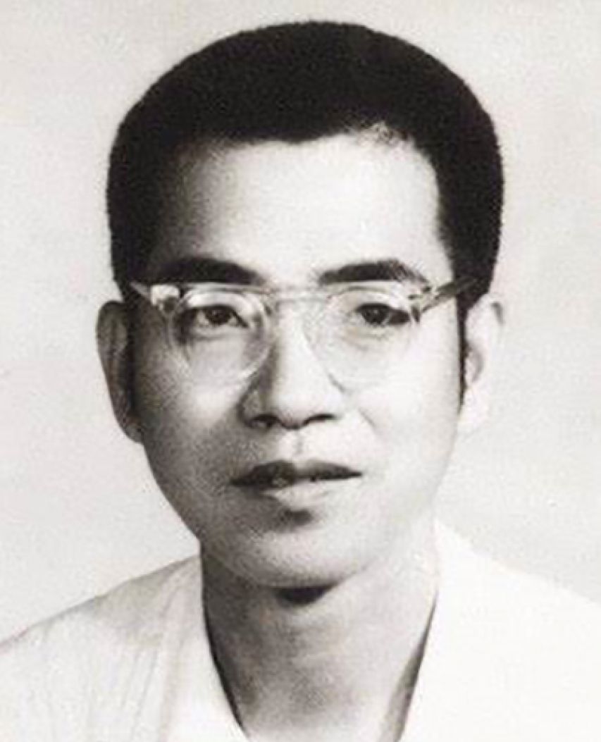 著名数学家陈景润,47岁时与29岁女军医结婚,二人儿子现在怎样?