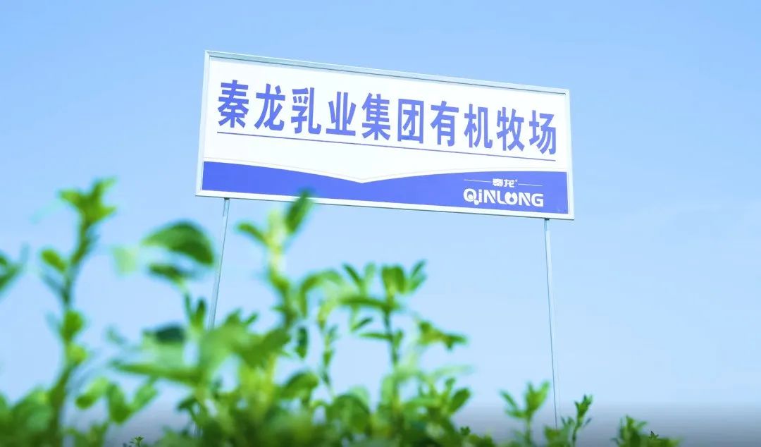 羊品时代:羊奶不属药,食疗有奇效