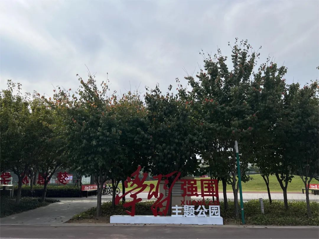 河东新建公园图片