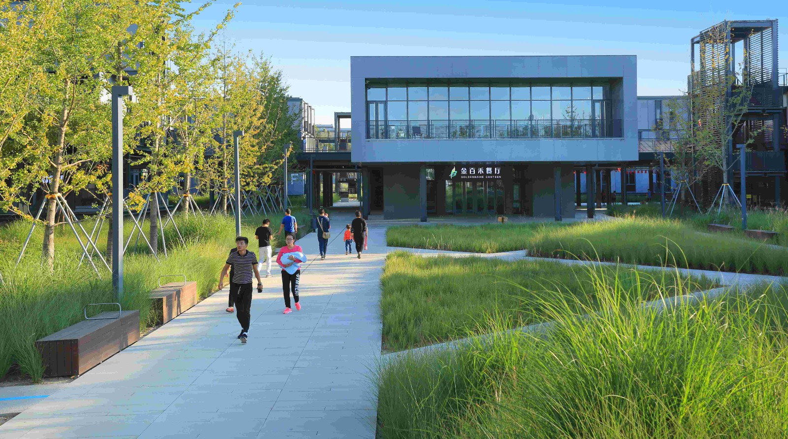 世界人居网·精品丨未来之城:雄安新区市民服务中心景观设计