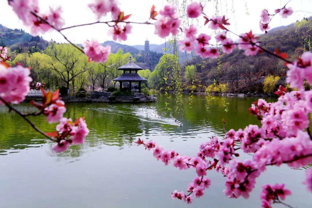 济南人春节全市11家国有a级景区免费游园部分景区预约细则请查收
