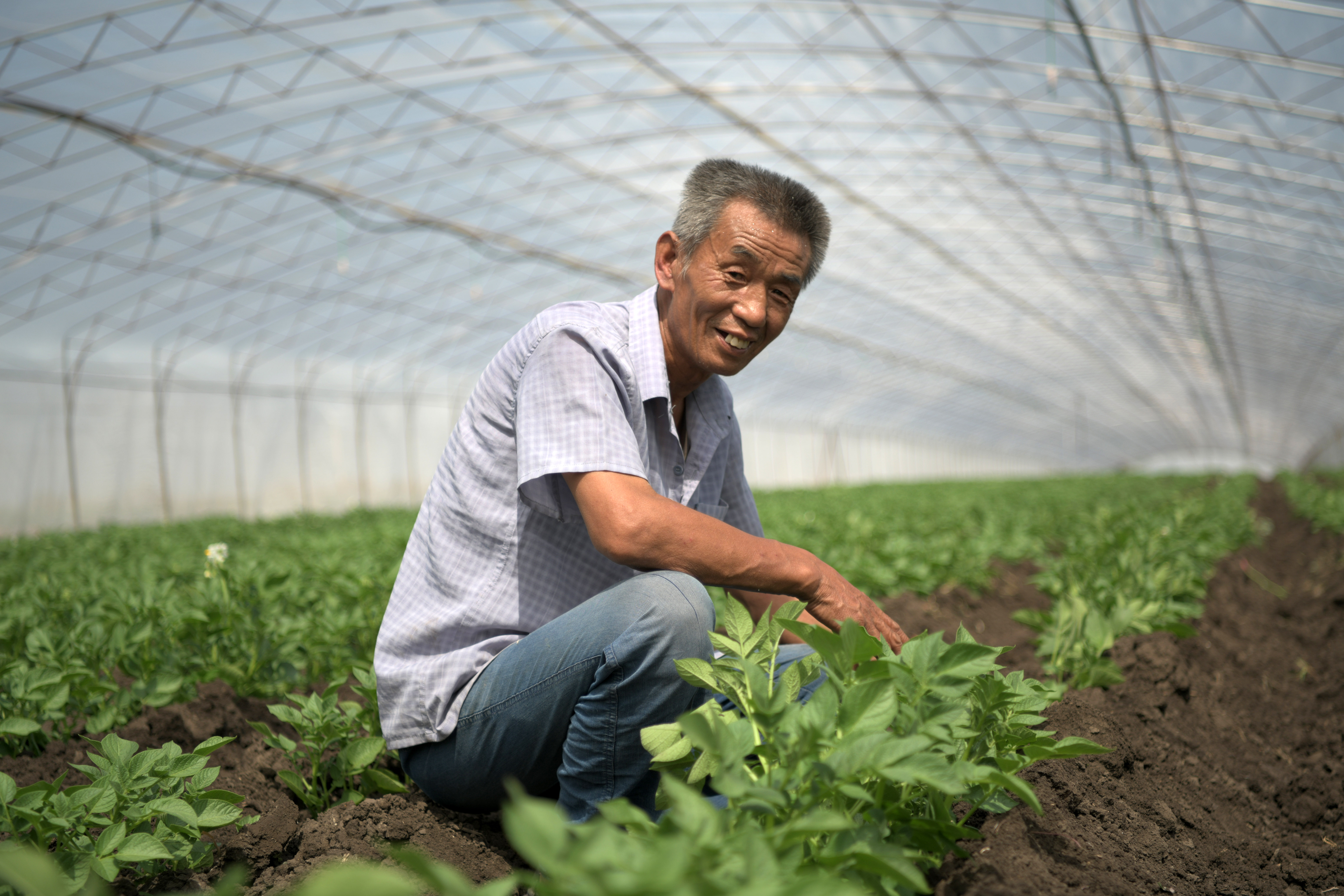 黑龙江3 1 2选 - 热门商品专区