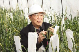 南方麦王-程顺和:守望麦田数十载,只为"粮安天下"