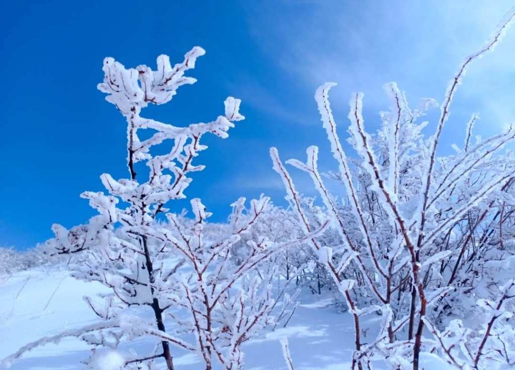 石家庄:驼梁降雪四月天