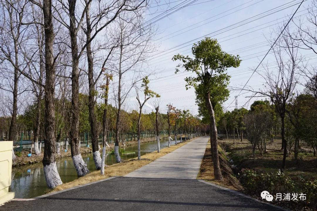 建好"四好农村路 月浦镇月狮村铺就民生幸福道