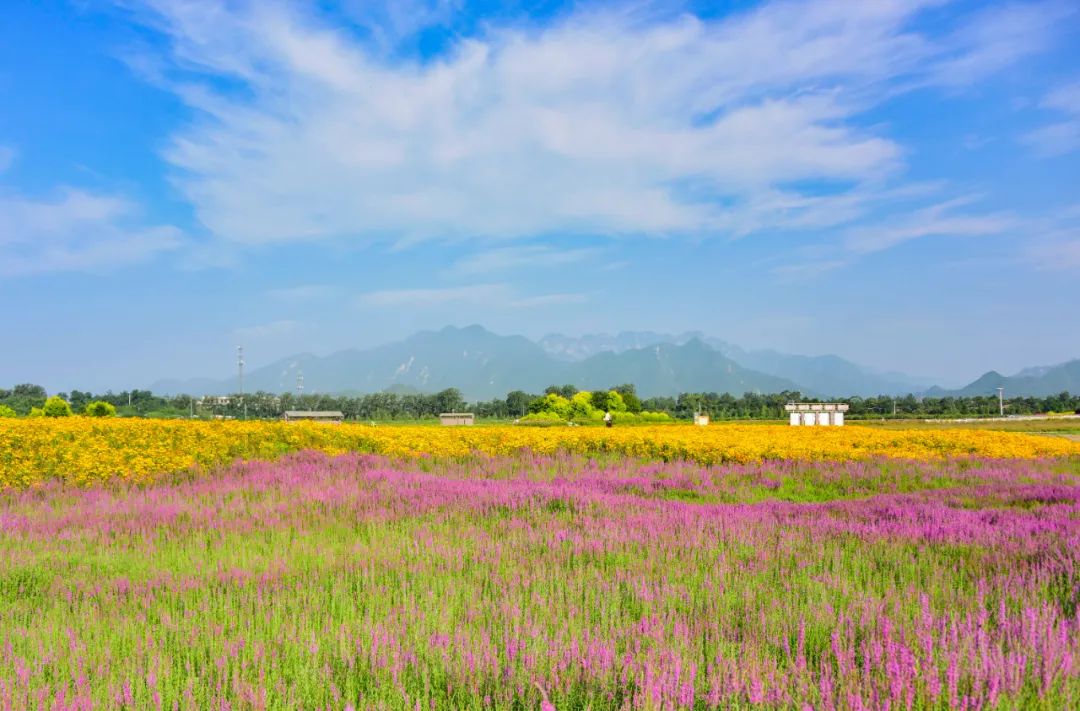 七孔桥花海公园图片