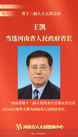 王凯当选河南省人民政府省长