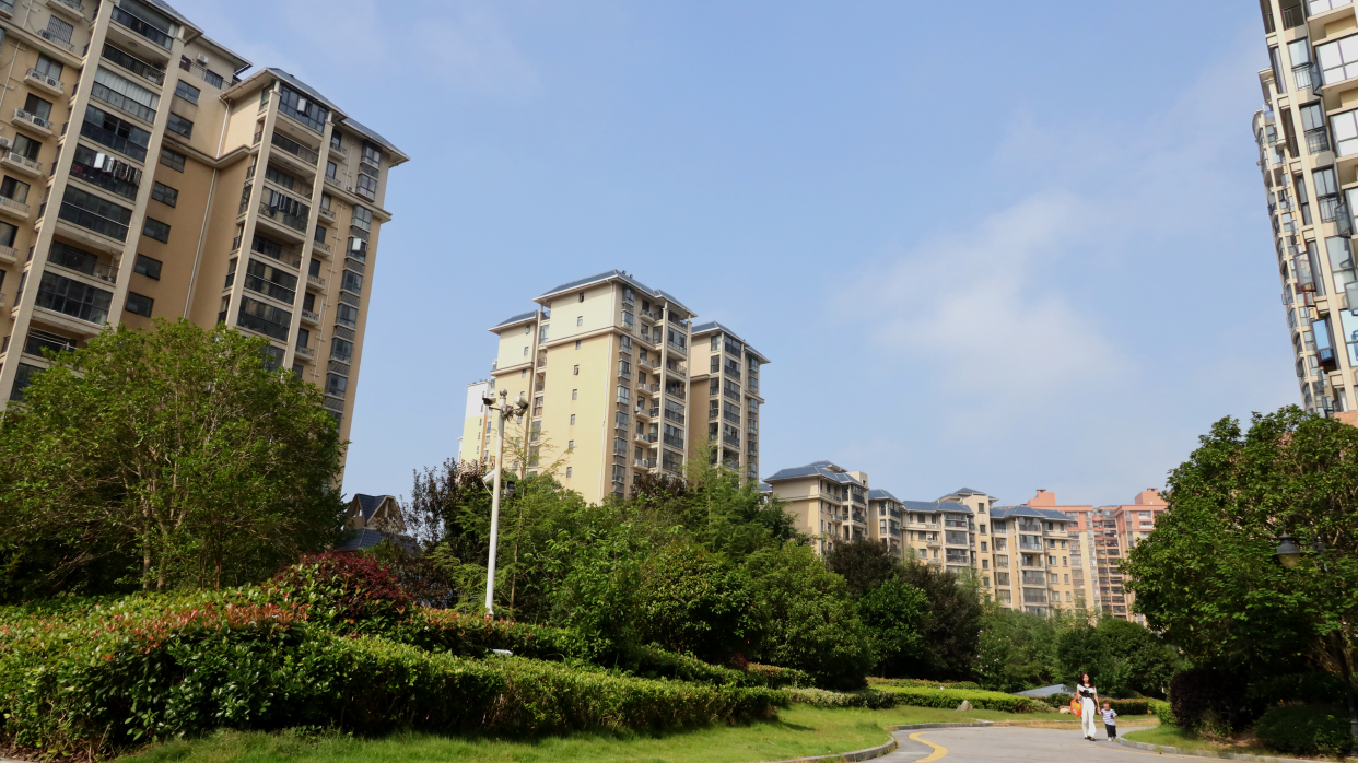 通城县滨江苑小区党支部开展庆祝"七一"活动