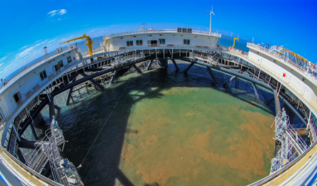 江苏盐城滨海陶湾海洋牧场创成国家级示范区