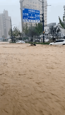郑州暴雨感人素材图片