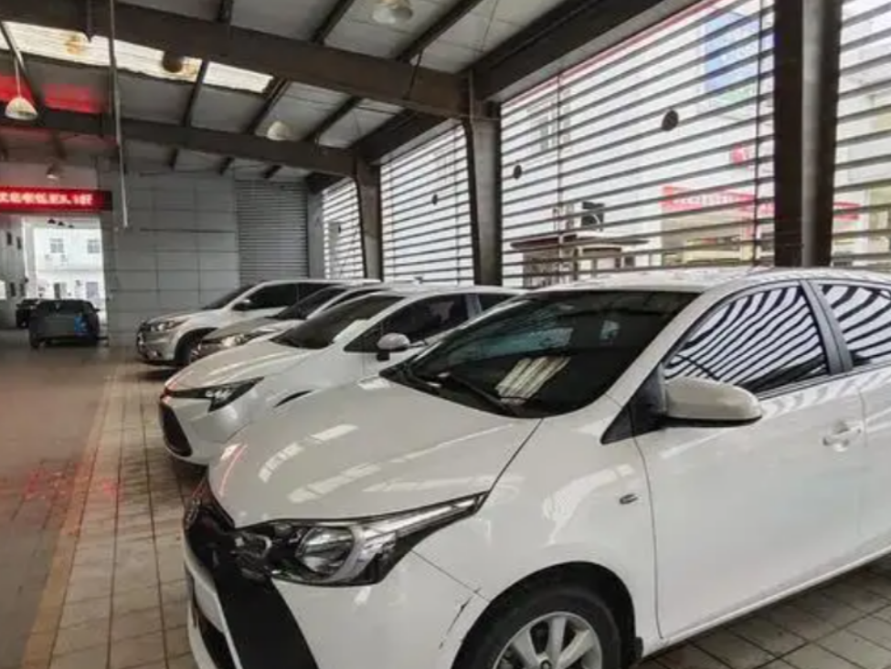 回顾山东90后女黑老大李桂圆:靠美貌为祸东营多年,后被悬赏通缉