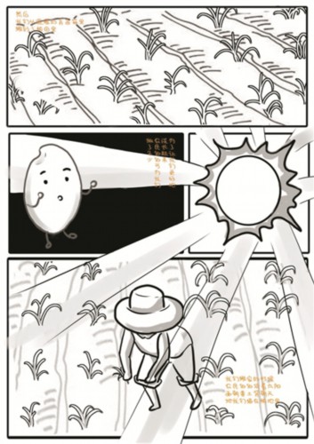 手绘漫画"一粒米"的故事