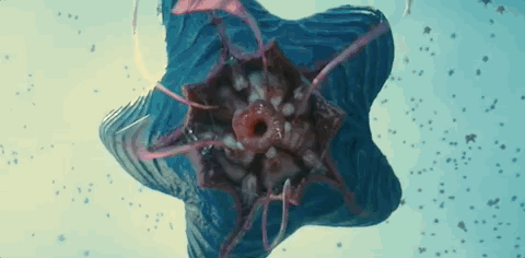 1)像哥斯拉大怪兽那样,利用自己高大的身形碾压,从腋下排出无数小海星