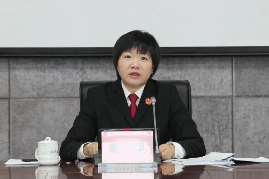 踔厉奋发,笃行不怠,平阳法院再出发