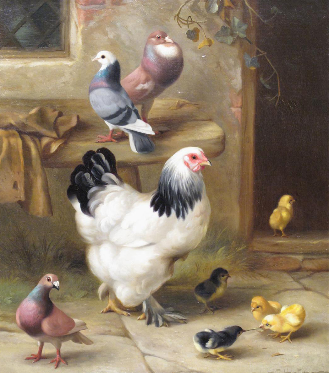 描绘牧场动物系列的油画,可爱之极